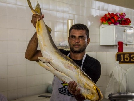 Vendedor exibe o peixe Filhote, típico da região.