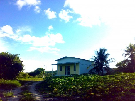 Foto à distância do templo para mostrar a área verde que o cerca